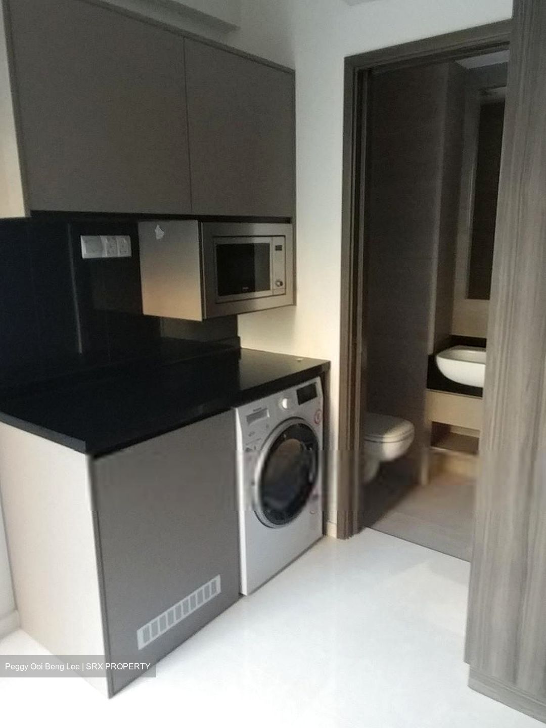 Liv On Wilkie (D9), Apartment #504658911